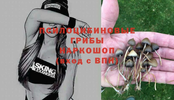 a pvp Протвино
