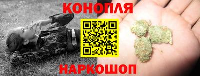 гашик Кандалакша
