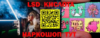 гашик Кандалакша