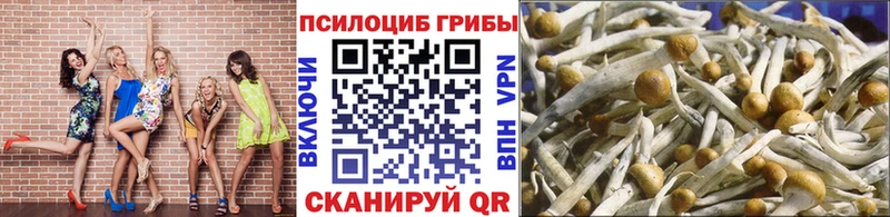 Галлюциногенные грибы Psilocybe  Уссурийск 